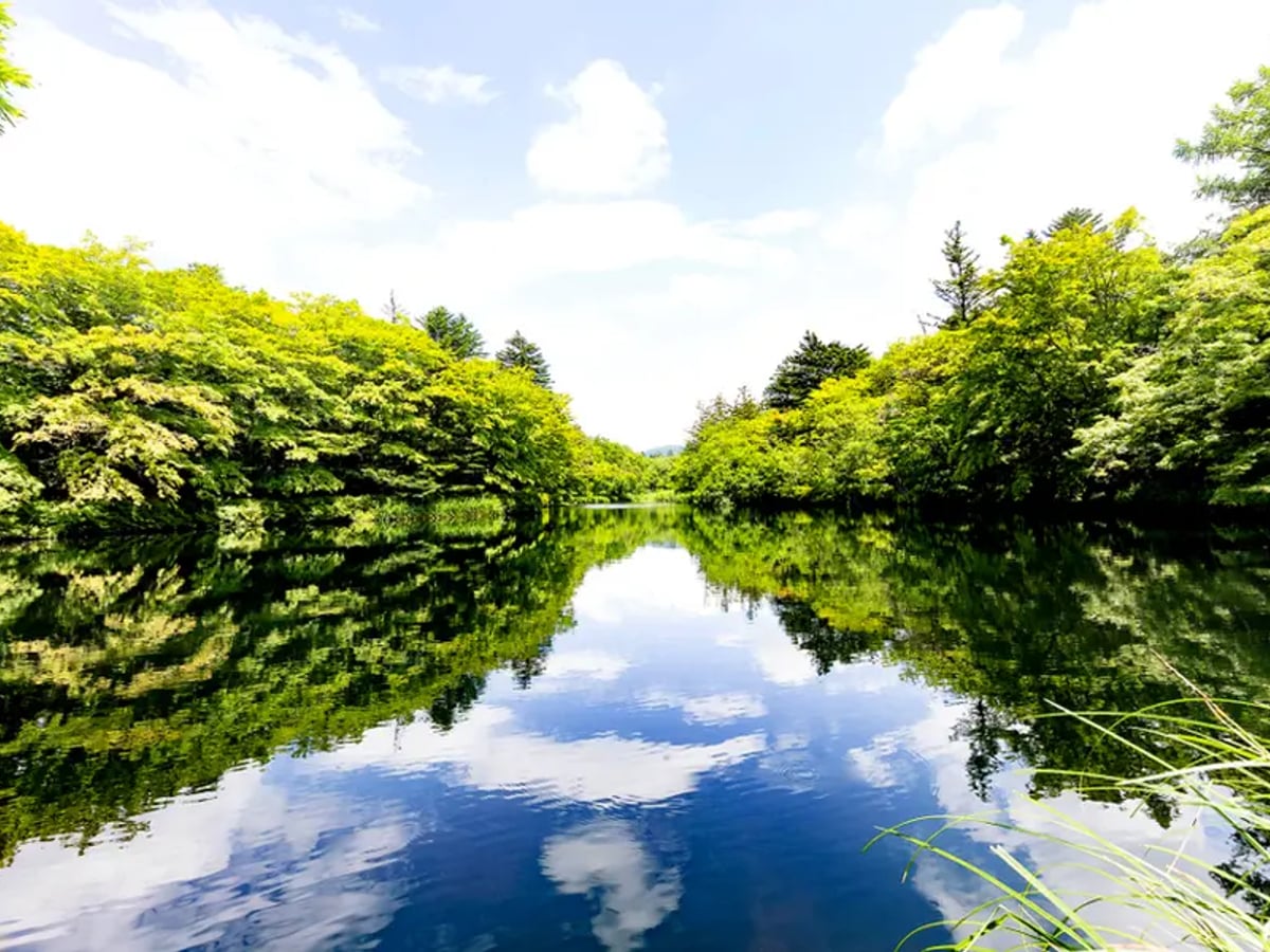 雲場池の候補写真