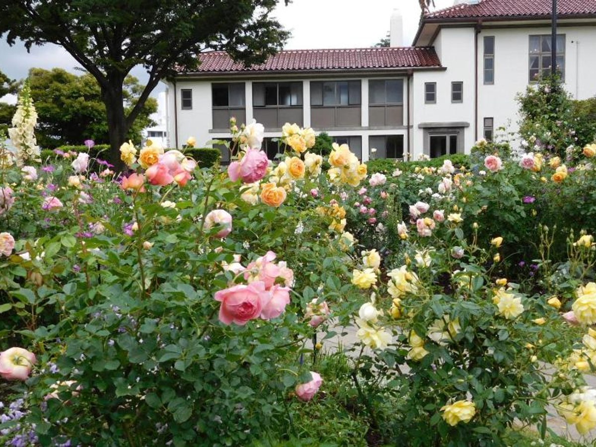 港の見える丘公園の候補写真