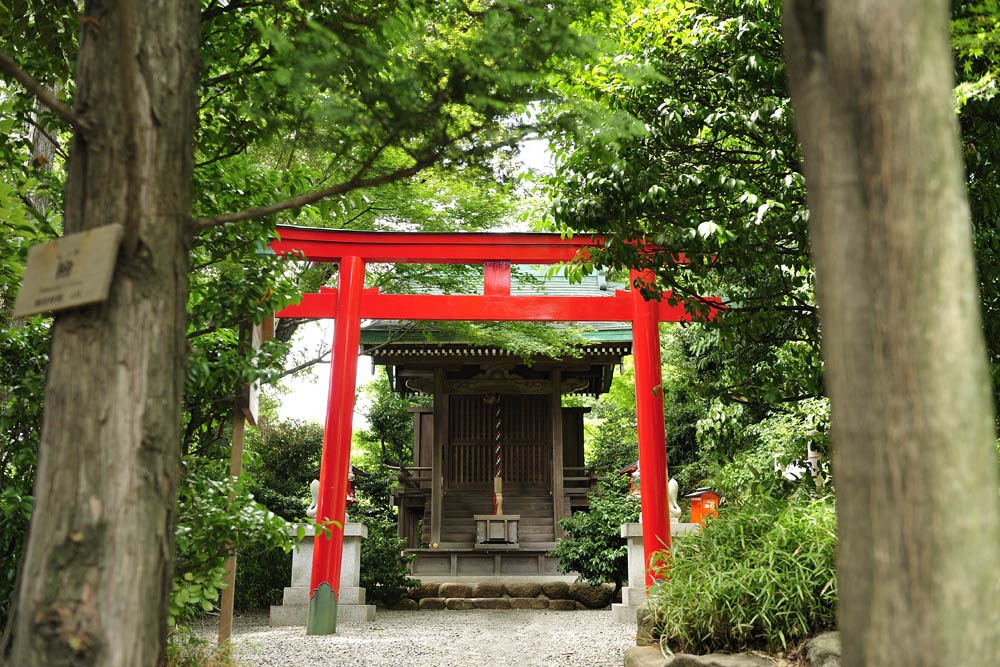 庭園 / 東京雲海 朱色の鳥居と祠