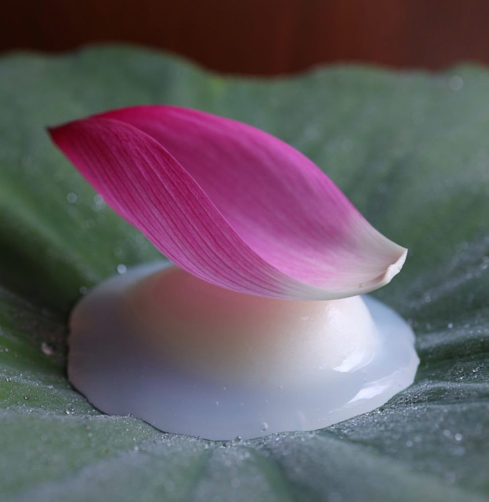 Yama 花弁を載せた菓子
